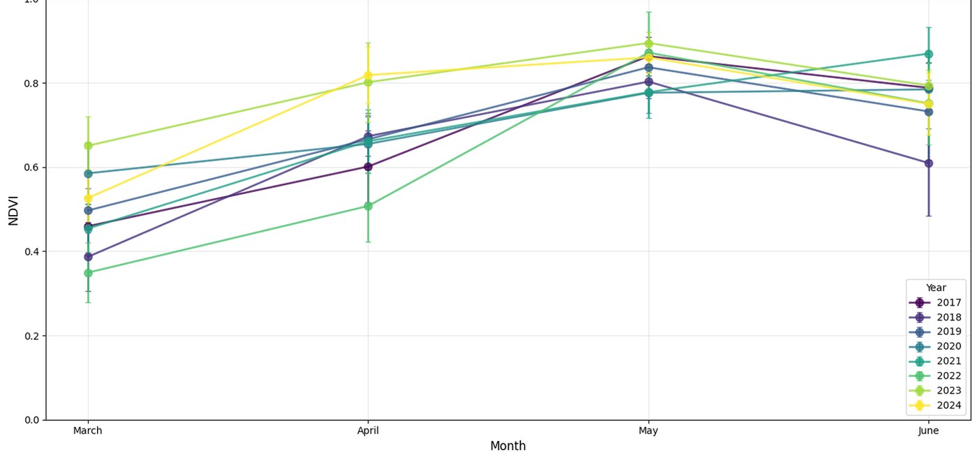 Line chart of winter wheat NDVI for March to June, one line per year from 2017 to 2024, peaking in May.
